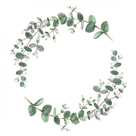 EDELWEISS Servietter Eucalyptus